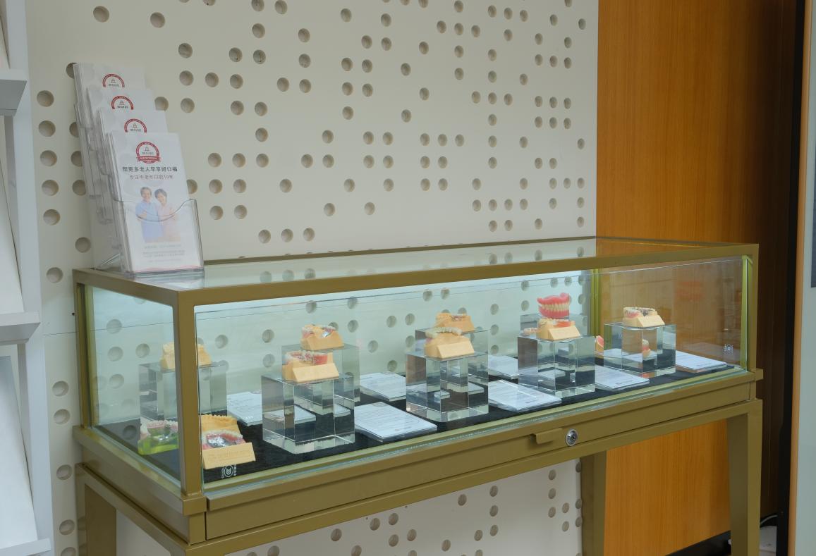 模型展示区